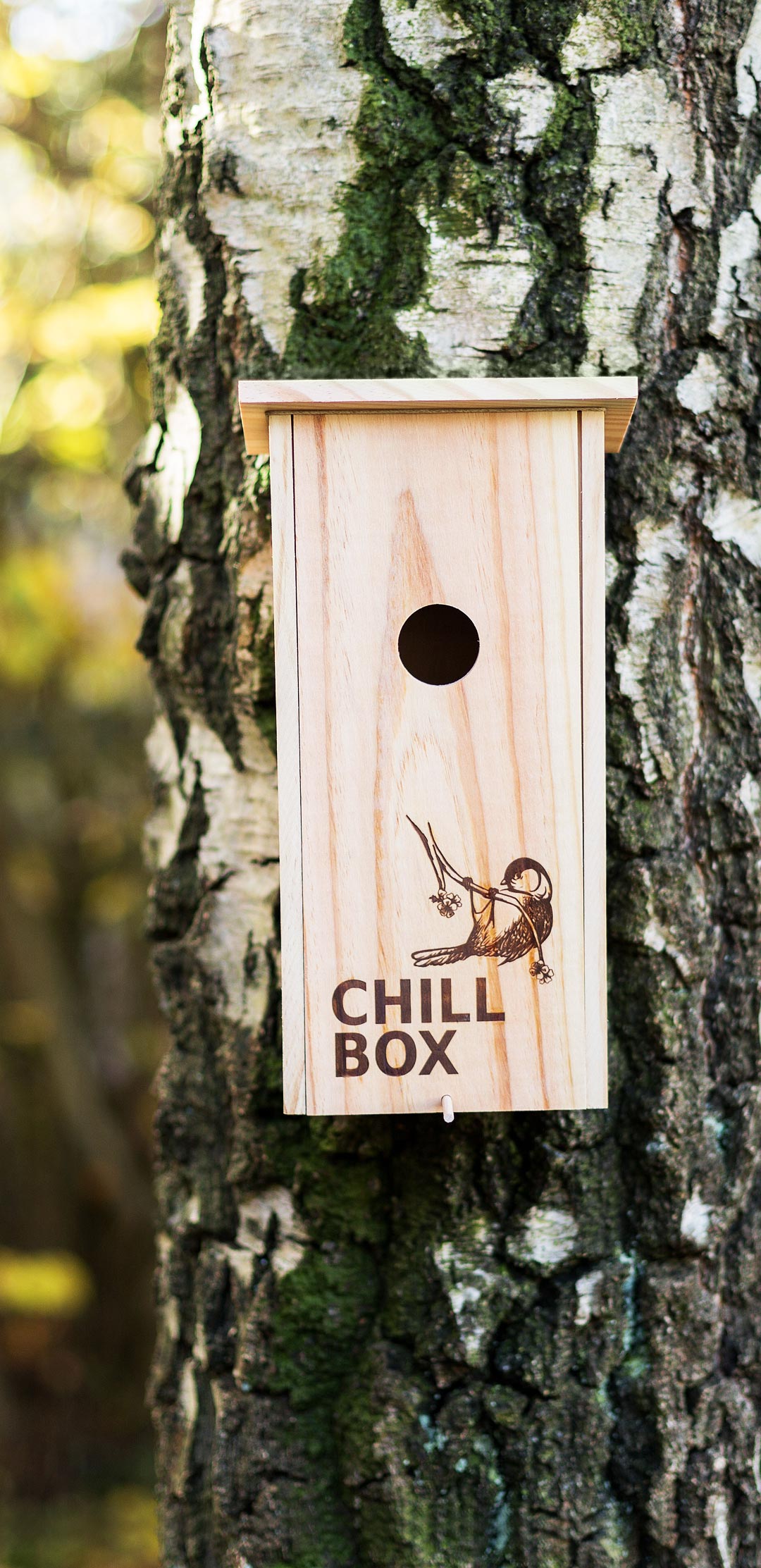 WiesenObst Gourmetbox im Vogelhaus