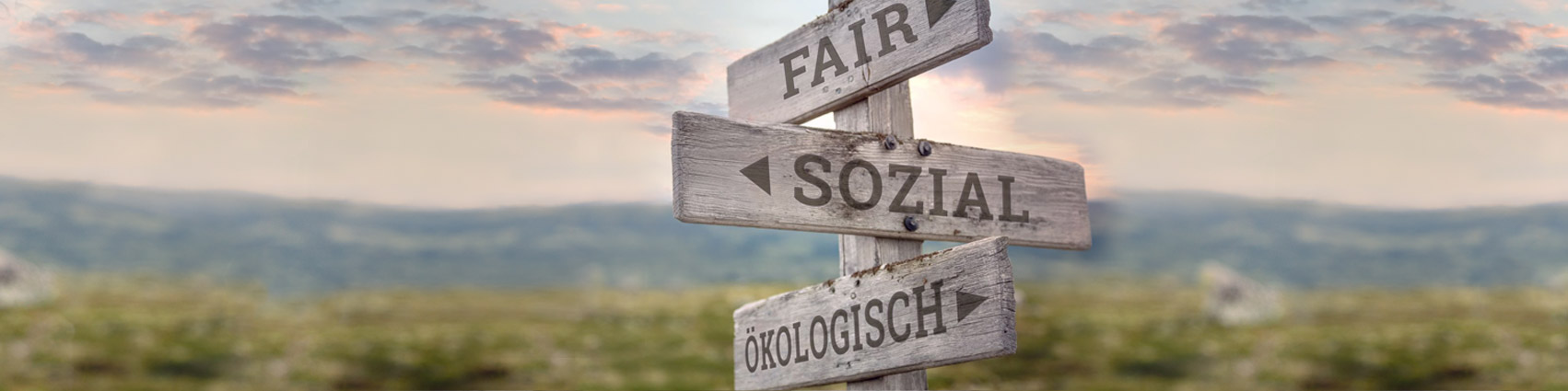 Wir setzen uns für Unternehmen ein, die umweltbewusst, gesellschaftlich und faire Arbeitsbedingungen fördern Wir setzen uns für Unternehmen ein, die umweltbewusst, gesellschaftlich und faire Arbeitsbedingungen fördern